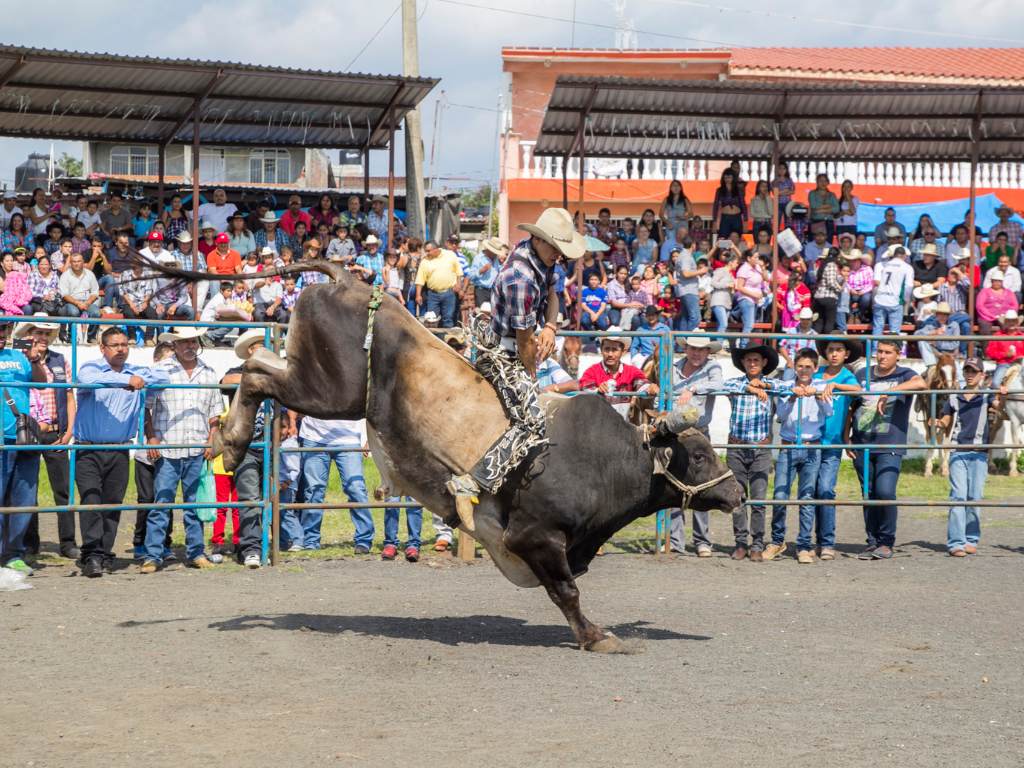 Contrate Segurança 24h para Eventos em Batatais: Proteja Seu Evento!